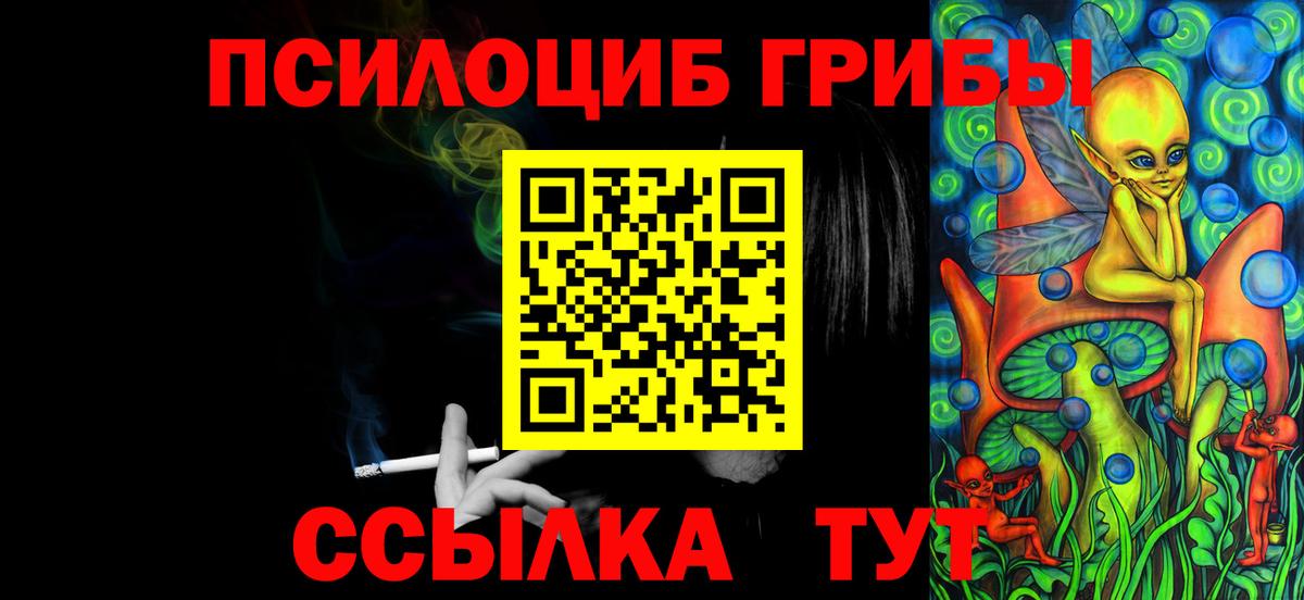 Псилоцибиновые грибы Psilocybine cubensis Юрга