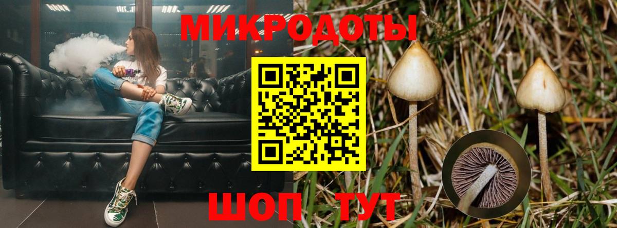 хочу   Вход с VPN  Юрга  Псилоцибиновые грибы Psilocybe  Псилоцибиновые грибы мухоморы 