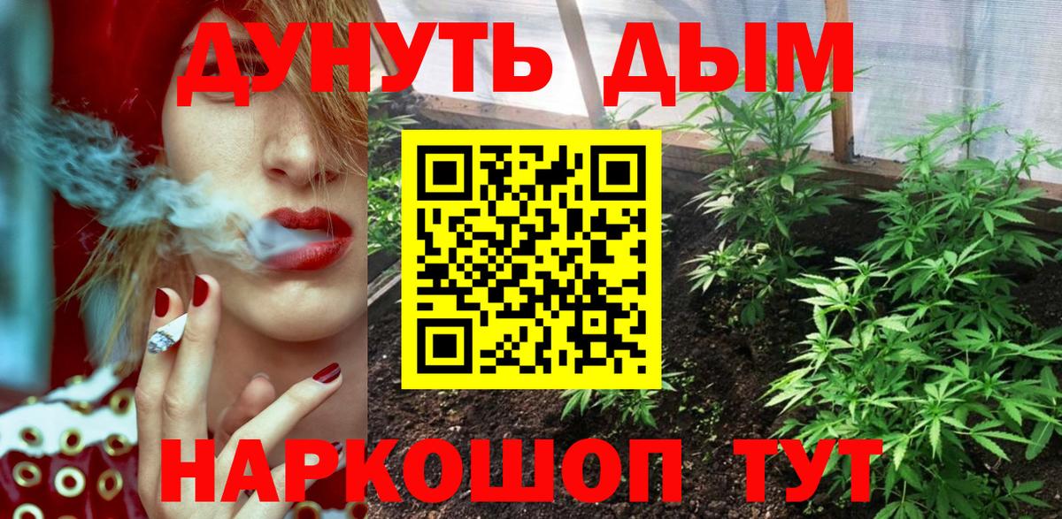 Каннабис планчик Юрга